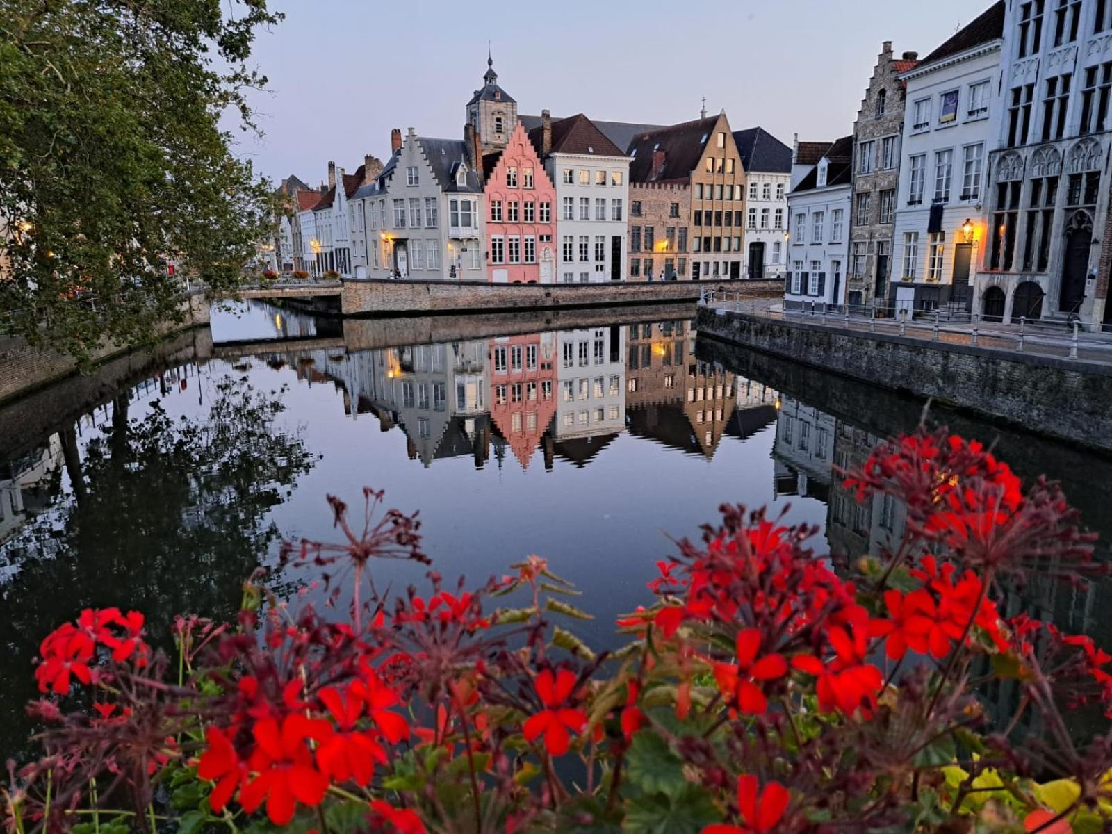 Bed and Breakfast Butterfly Bruggy Exteriér fotografie